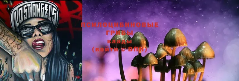 hydra сайт  Кирс  Галлюциногенные грибы Magic Shrooms 